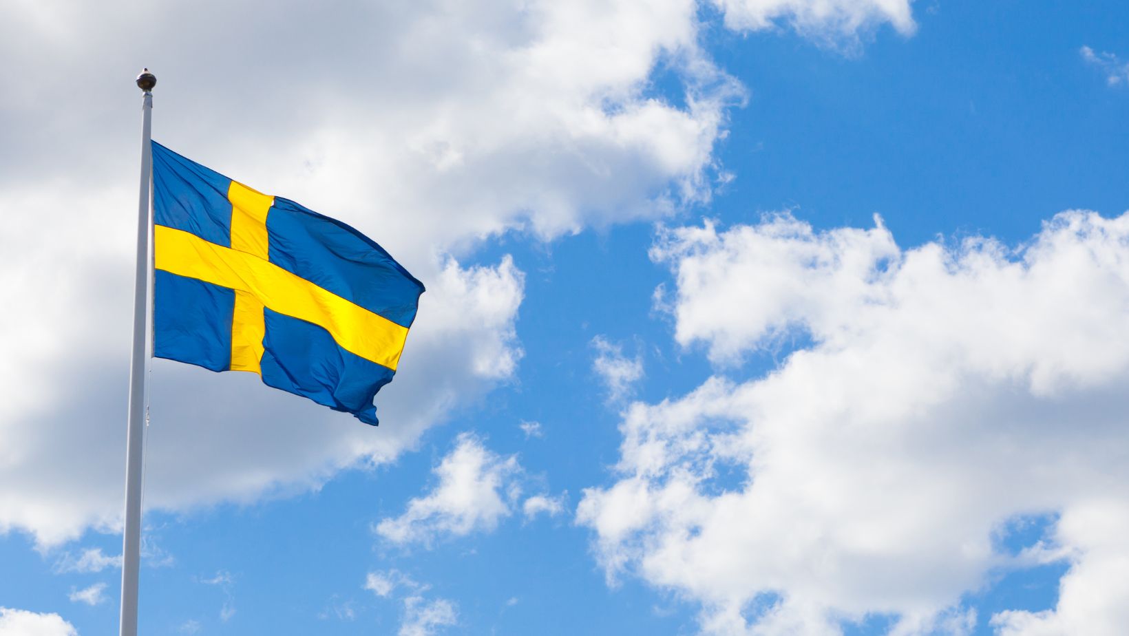 Svensk sommar. En flagga